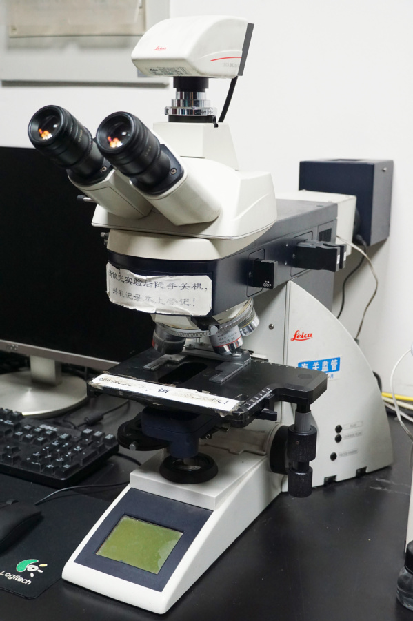 莱卡荧光光学显微镜
